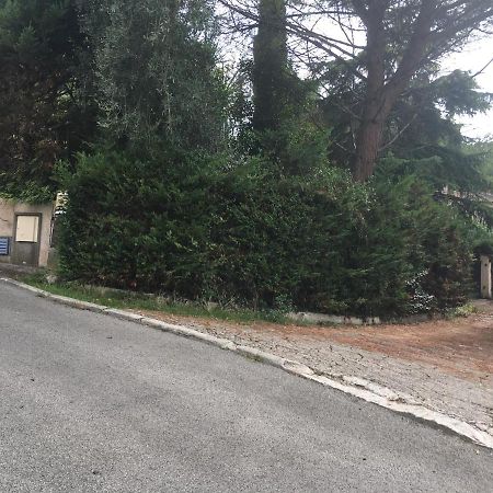 Le Cannet 10Mn Cannes Chambre Independante Etage D'Une Maison Avec Piscine מראה חיצוני תמונה